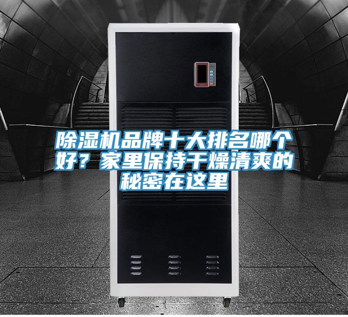除濕機(jī)品牌十大排名哪個(gè)好？家里保持干燥清爽的秘密在這里