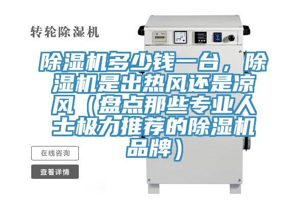 除濕機多少錢一臺，除濕機是出熱風還是涼風（盤點那些專業人士極力推薦的除濕機品牌）