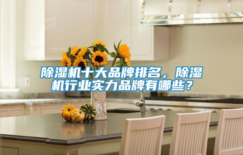 除濕機十大品牌排名，除濕機行業實力品牌有哪些？