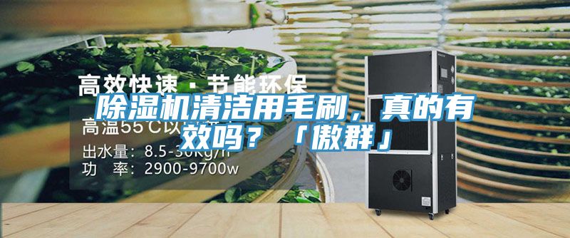 除濕機(jī)清潔用毛刷,真的有效嗎?「傲群」