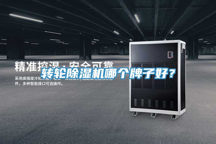 轉輪除濕機哪個牌子好？