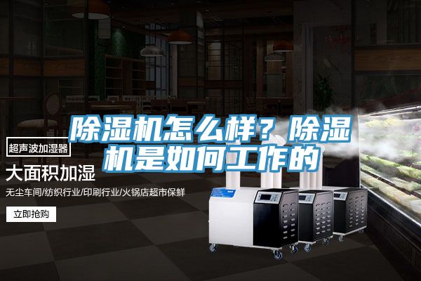 除濕機怎么樣?除濕機是如何工作的