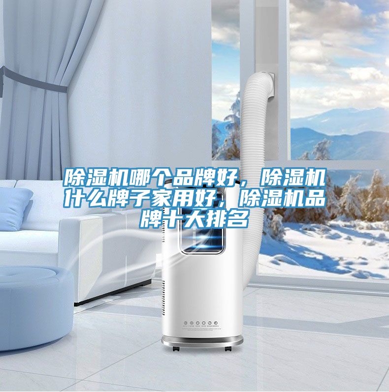 除濕機哪個品牌好，除濕機什么牌子家用好，除濕機品牌十大排名