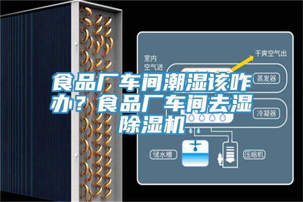 食品廠車間潮濕該咋辦?食品廠車間去濕除濕機