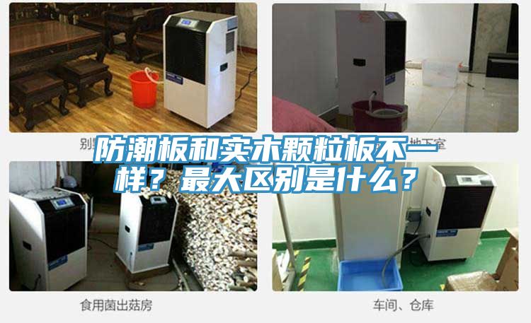 防潮板和實(shí)木顆粒板不一樣？最大區(qū)別是什么？