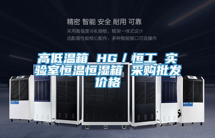 高低溫箱 HG／恒工 實(shí)驗(yàn)室恒溫恒濕箱 采購批發(fā)價格