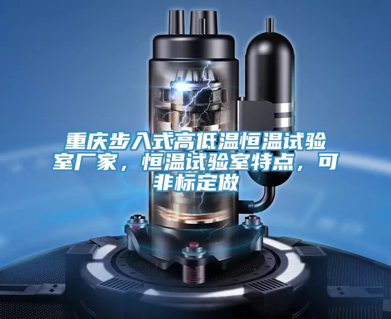 重慶步入式高低溫恒溫試驗室廠家，恒溫試驗室特點，可非標定做