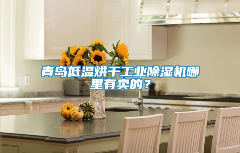 青島低溫烘干工業除濕機哪里有賣的？