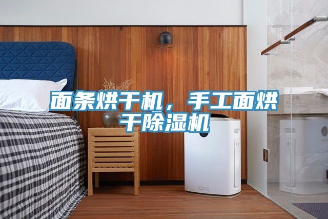 面條烘干機，手工面烘干除濕機