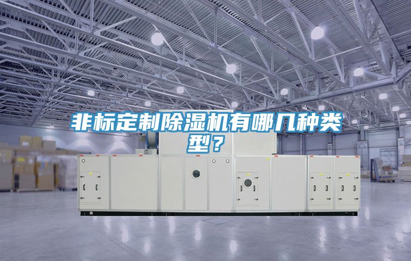 非標定制除濕機有哪幾種類型?