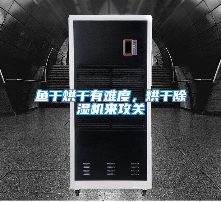 魚干烘干有難度,烘干除濕機來攻關