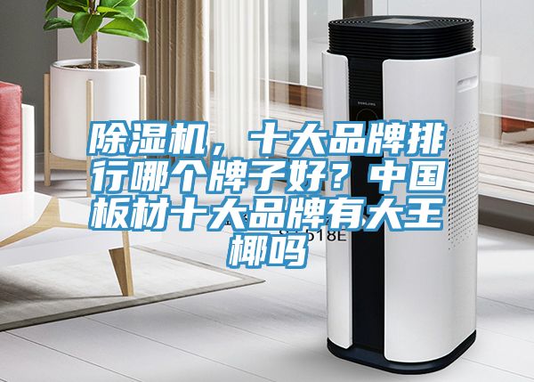 除濕機,十大品牌排行哪個牌子好?中國板材十大品牌有大王椰嗎
