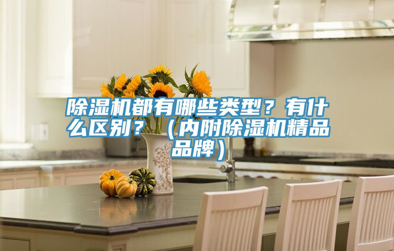 除濕機(jī)都有哪些類型？有什么區(qū)別？（內(nèi)附除濕機(jī)精品品牌）