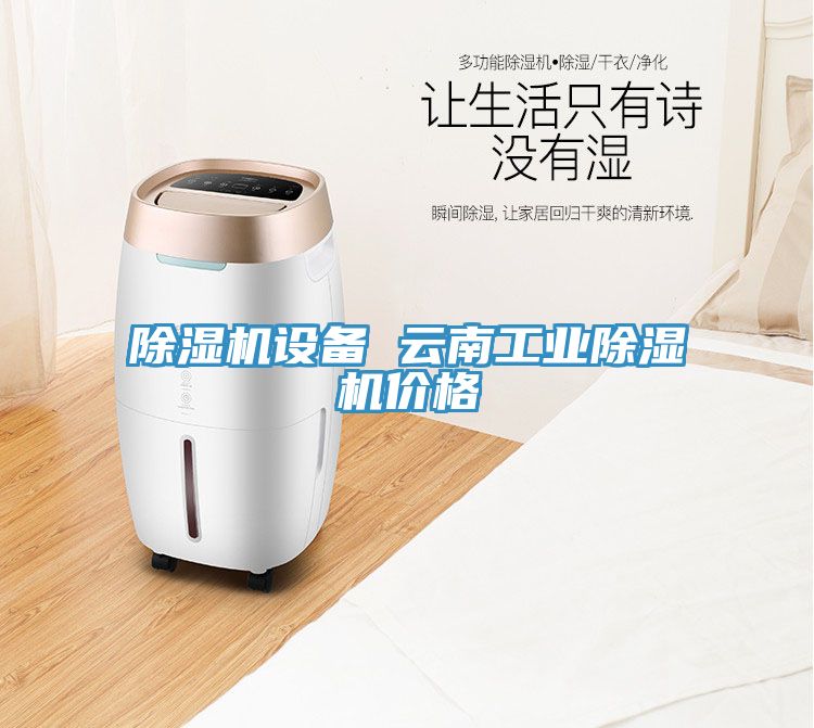 除濕機設備 云南工業(yè)除濕機價格
