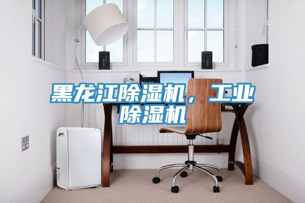 黑龍江除濕機，工業除濕機